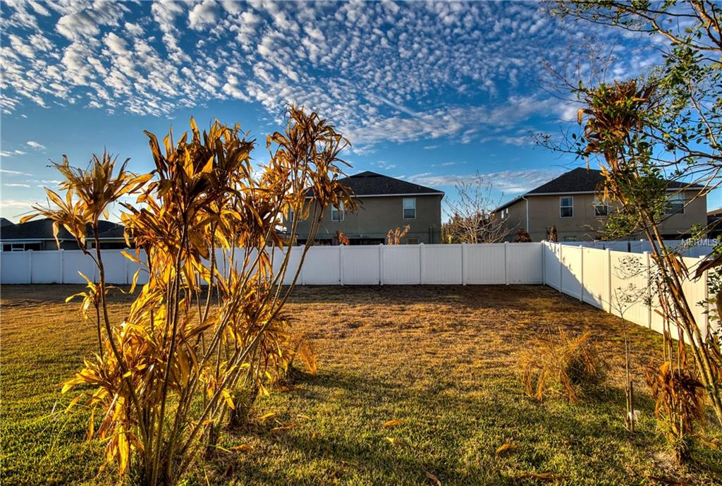 20406 AUTUMN FERN AVENUE, TAMPA, Florida 33647, 5 Bedrooms Bedrooms, 3 Rooms Rooms,2 BathroomsBathrooms,Residential,For sale,AUTUMN FERN,T2925798