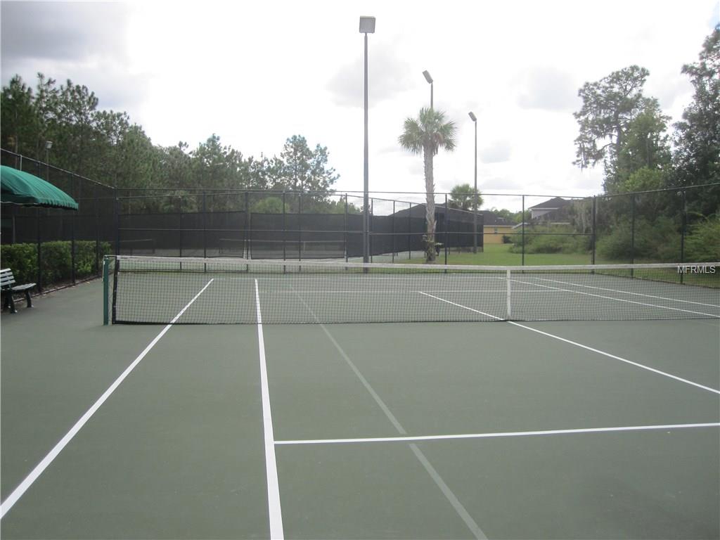 20406 AUTUMN FERN AVENUE, TAMPA, Florida 33647, 5 Bedrooms Bedrooms, 3 Rooms Rooms,2 BathroomsBathrooms,Residential,For sale,AUTUMN FERN,T2925798