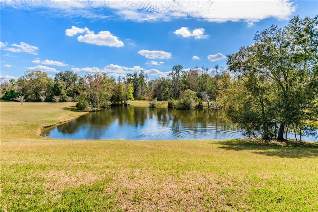 3909 LITHIA RIDGE BOULEVARD, VALRICO, Florida 33596, 5 Bedrooms Bedrooms, 10 Rooms Rooms,3 BathroomsBathrooms,Residential,For sale,LITHIA RIDGE,T2927872