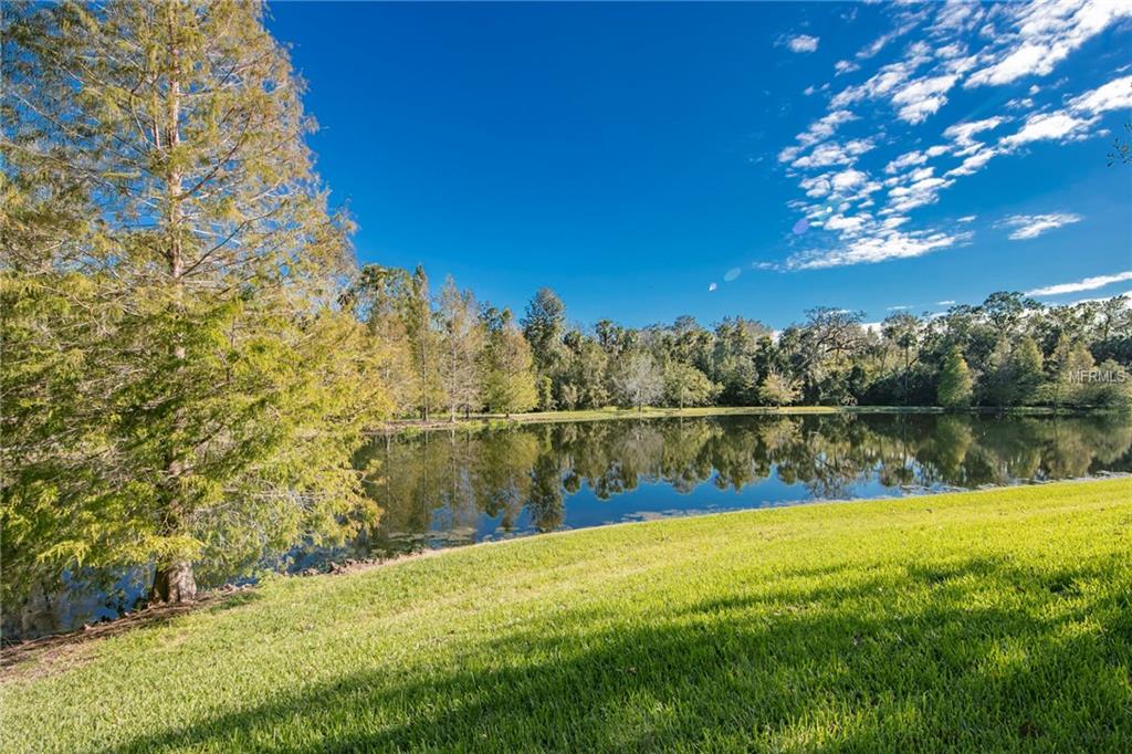 1211 STONECUTTER DRIVE, CELEBRATION, Florida 34747, 3 Bedrooms Bedrooms, 6 Rooms Rooms,2 BathroomsBathrooms,Residential,For sale,STONECUTTER,S4848520