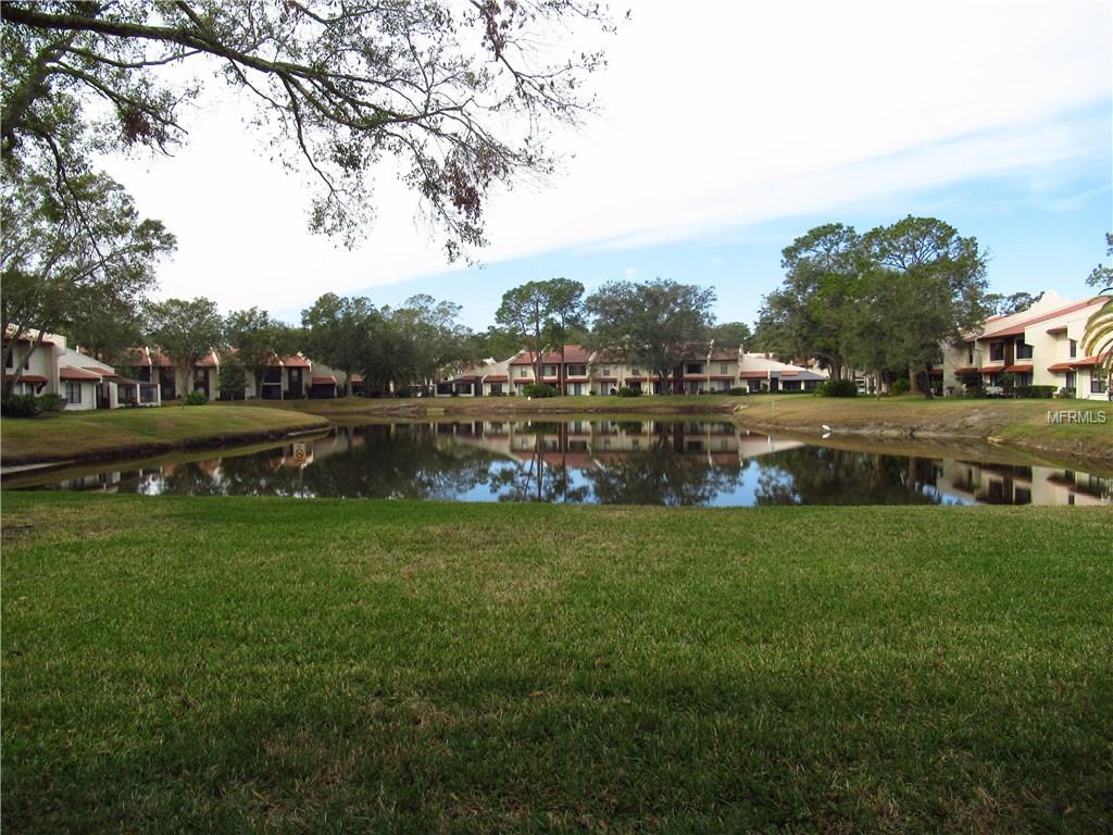 3505 TARPON WOODS BOULEVARD, PALM HARBOR, Florida 34685, 2 Bedrooms Bedrooms, 3 Rooms Rooms,2 BathroomsBathrooms,Residential,For sale,TARPON WOODS,U7845422