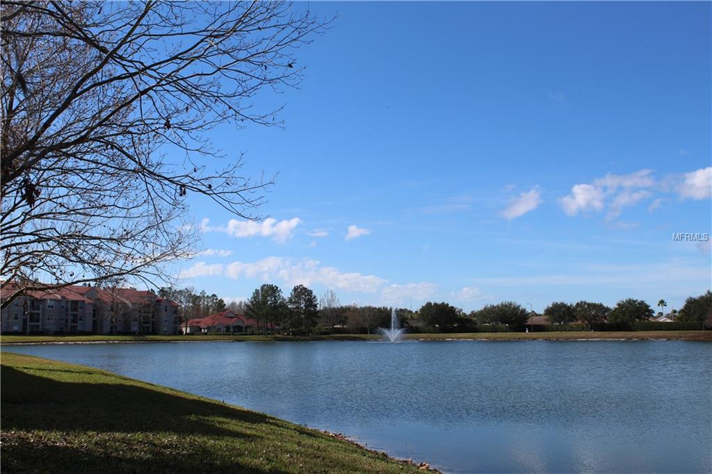 18107 PEREGRINES PERCH PLACE, LUTZ, Florida 33558, 2 Bedrooms Bedrooms, 6 Rooms Rooms,2 BathroomsBathrooms,Residential,For sale,PEREGRINES PERCH,T2925814