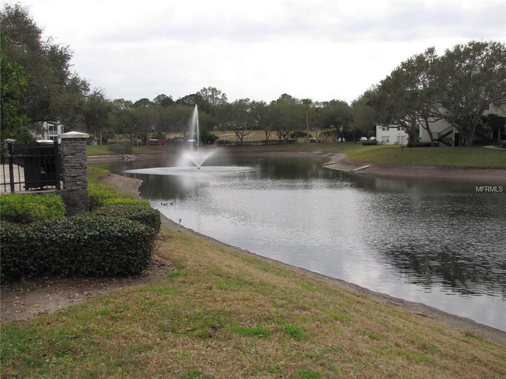 3325 HAVILAND COURT, PALM HARBOR, Florida 34684, 2 Bedrooms Bedrooms, 3 Rooms Rooms,1 BathroomBathrooms,Residential,For sale,HAVILAND,T2927213