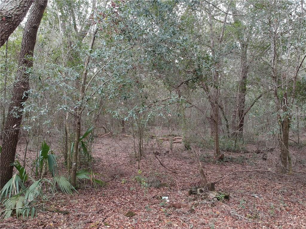 38017 ROLLING ACRES ROAD, LADY LAKE, Florida 32159, 3 Bedrooms Bedrooms, 7 Rooms Rooms,2 BathroomsBathrooms,Residential,For sale,ROLLING ACRES,G4851638