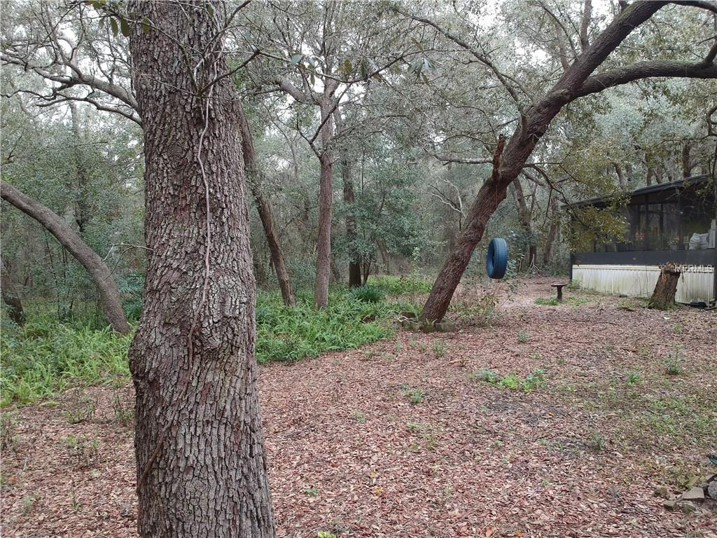 38017 ROLLING ACRES ROAD, LADY LAKE, Florida 32159, 3 Bedrooms Bedrooms, 7 Rooms Rooms,2 BathroomsBathrooms,Residential,For sale,ROLLING ACRES,G4851638