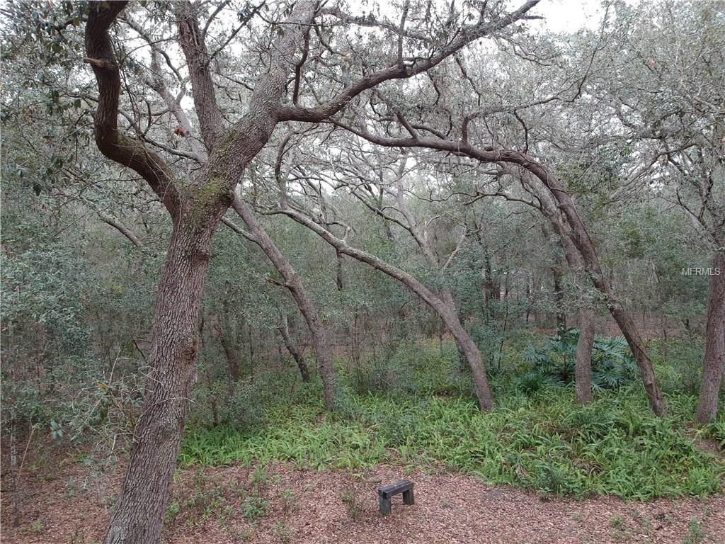 38017 ROLLING ACRES ROAD, LADY LAKE, Florida 32159, 3 Bedrooms Bedrooms, 7 Rooms Rooms,2 BathroomsBathrooms,Residential,For sale,ROLLING ACRES,G4851638