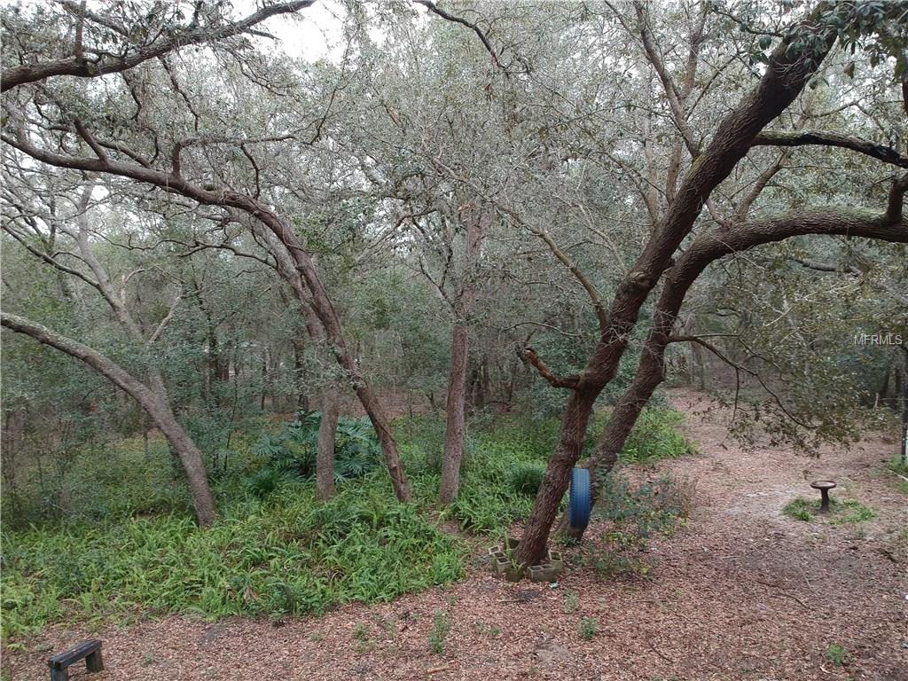 38017 ROLLING ACRES ROAD, LADY LAKE, Florida 32159, 3 Bedrooms Bedrooms, 7 Rooms Rooms,2 BathroomsBathrooms,Residential,For sale,ROLLING ACRES,G4851638