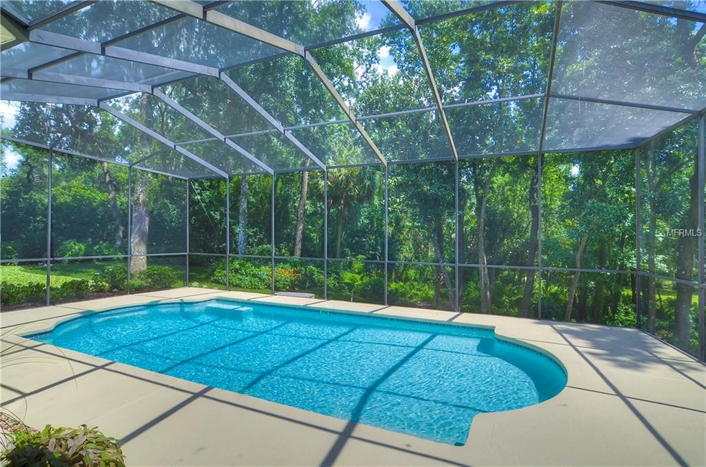 203 LOCUST DRIVE, BRANDON, Florida 33511, 5 Bedrooms Bedrooms, 12 Rooms Rooms,4 BathroomsBathrooms,Residential,For sale,LOCUST,T2927624