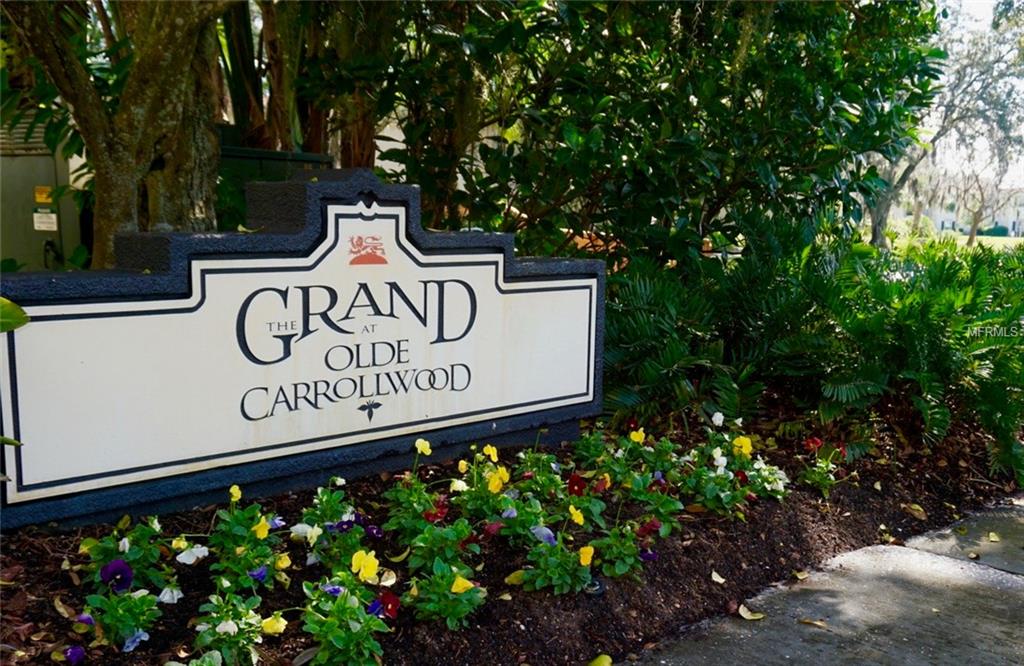 TAMPA, Florida 33618, 2 Bedrooms Bedrooms, 6 Rooms Rooms,1 BathroomBathrooms,Residential,For sale,T2913223