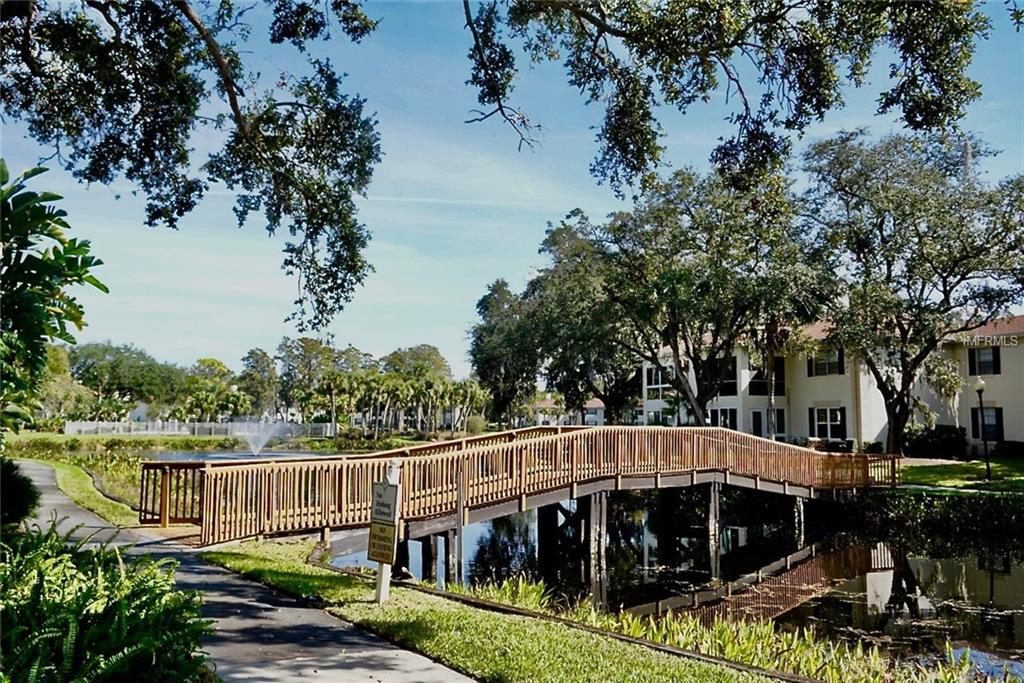 TAMPA, Florida 33618, 2 Bedrooms Bedrooms, 6 Rooms Rooms,1 BathroomBathrooms,Residential,For sale,T2913223