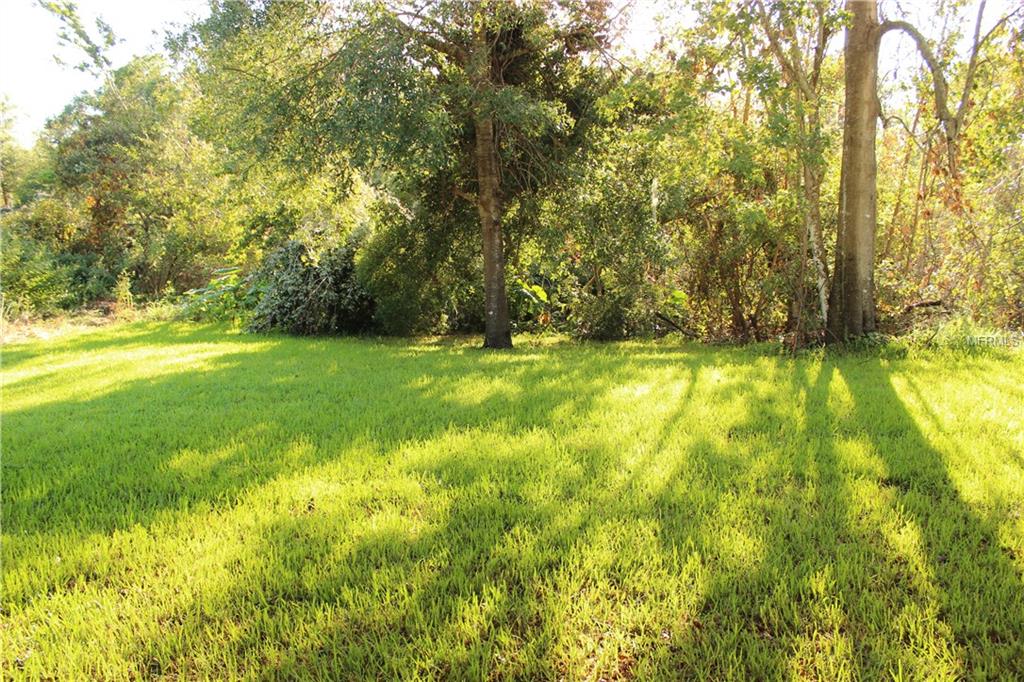 905 S COUNTY ROAD 419, CHULUOTA, Florida 32766, 3 Bedrooms Bedrooms, 7 Rooms Rooms,2 BathroomsBathrooms,Residential,For sale,COUNTY ROAD 419,O5548748