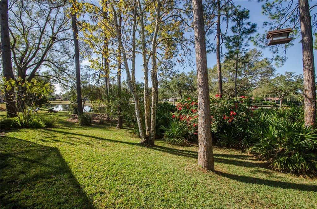 508 CENTERWOOD DRIVE, TARPON SPRINGS, Florida 34688, 3 Bedrooms Bedrooms, 3 Rooms Rooms,2 BathroomsBathrooms,Residential,For sale,CENTERWOOD,U7845429