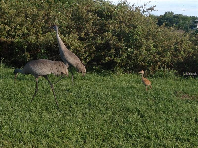 27142 NOSTALGIA DRIVE, LEESBURG, Florida 34748, 3 Bedrooms Bedrooms, 6 Rooms Rooms,2 BathroomsBathrooms,Residential,For sale,NOSTALGIA,G4851152