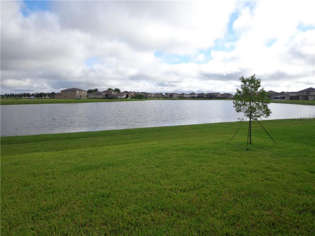 10024 CELTIC ASH DRIVE, RUSKIN, Florida 33573, 4 Bedrooms Bedrooms, 3 Rooms Rooms,3 BathroomsBathrooms,Residential,For sale,CELTIC ASH,T2901156