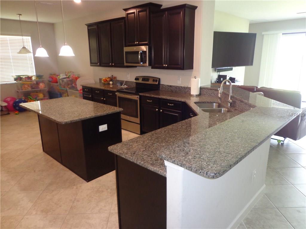 10024 CELTIC ASH DRIVE, RUSKIN, Florida 33573, 4 Bedrooms Bedrooms, 3 Rooms Rooms,3 BathroomsBathrooms,Residential,For sale,CELTIC ASH,T2901156