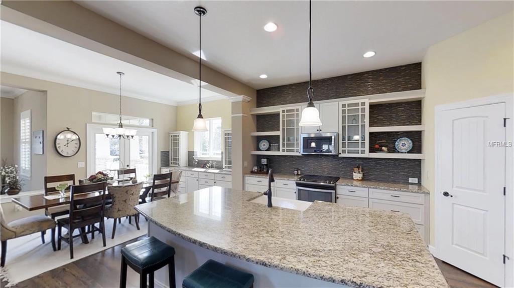 5920 CIRCA FISHHAWK BOULEVARD, LITHIA, Florida 33547, 5 Bedrooms Bedrooms, 13 Rooms Rooms,4 BathroomsBathrooms,Residential,For sale,CIRCA FISHHAWK,T2926838