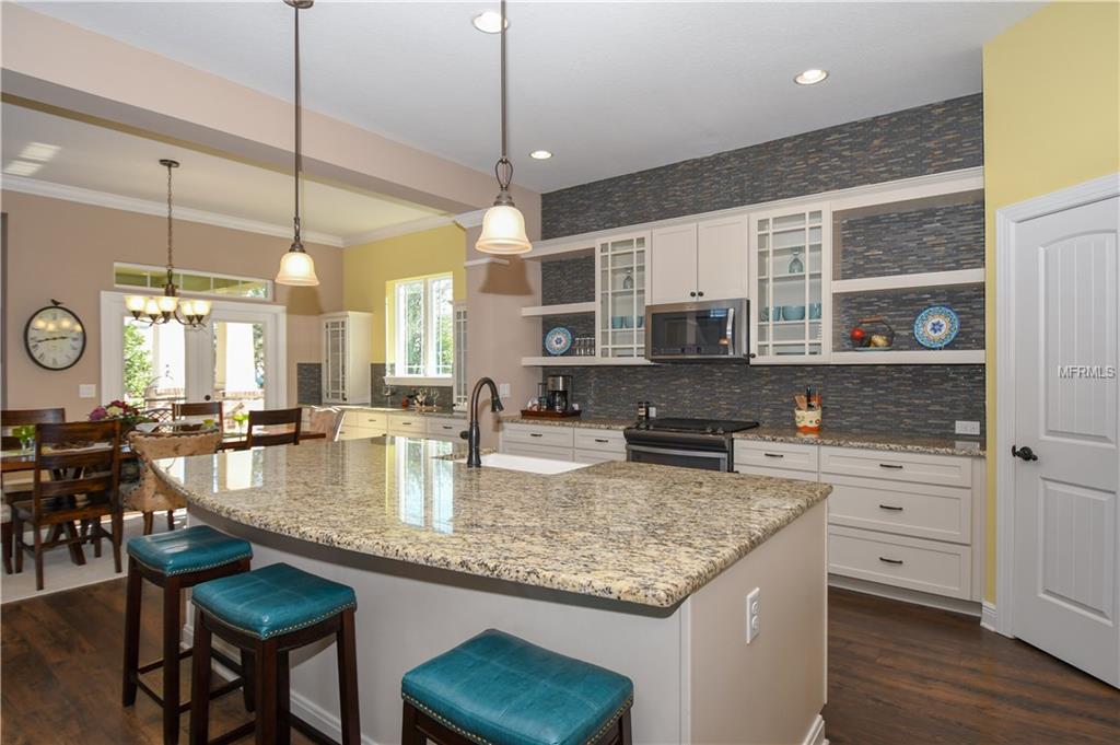 5920 CIRCA FISHHAWK BOULEVARD, LITHIA, Florida 33547, 5 Bedrooms Bedrooms, 13 Rooms Rooms,4 BathroomsBathrooms,Residential,For sale,CIRCA FISHHAWK,T2926838