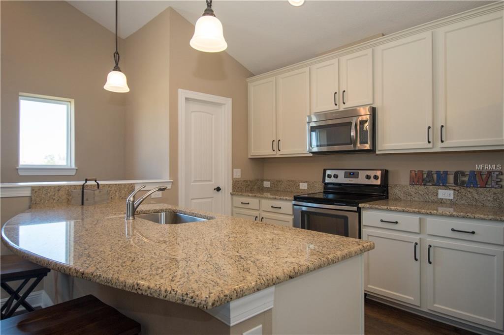 5920 CIRCA FISHHAWK BOULEVARD, LITHIA, Florida 33547, 5 Bedrooms Bedrooms, 13 Rooms Rooms,4 BathroomsBathrooms,Residential,For sale,CIRCA FISHHAWK,T2926838