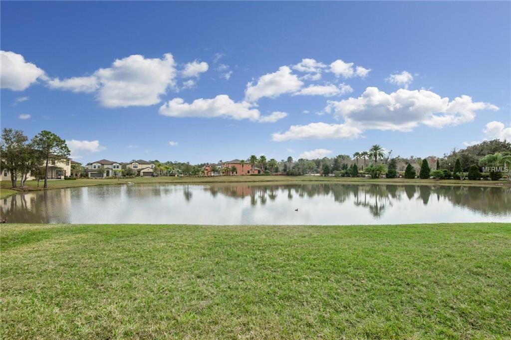 15205 ANTILLES ISLE LANE, TAMPA, Florida 33647, 3 Bedrooms Bedrooms, 7 Rooms Rooms,2 BathroomsBathrooms,Residential,For sale,ANTILLES ISLE,T2906756