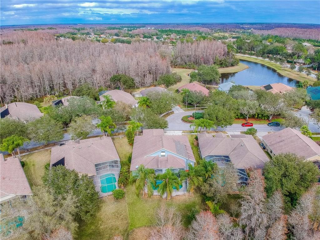 4812 TEA ROSE COURT, LUTZ, Florida 33558, 5 Bedrooms Bedrooms, 4 Rooms Rooms,4 BathroomsBathrooms,Residential,For sale,TEA ROSE,T2928607