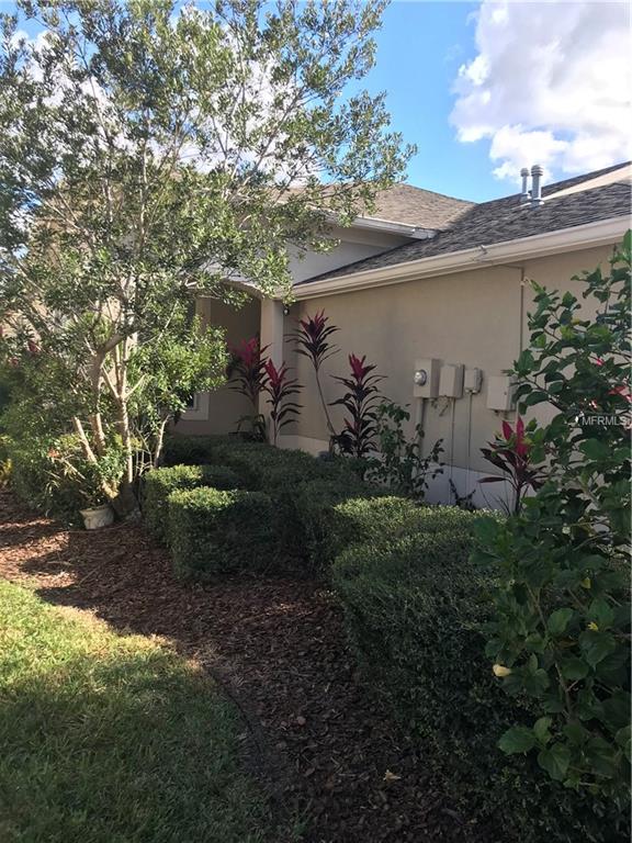 31333 SHAKER CIRCLE, WESLEY CHAPEL, Florida 33543, 2 Bedrooms Bedrooms, 3 Rooms Rooms,2 BathroomsBathrooms,Residential,For sale,SHAKER,T2923335