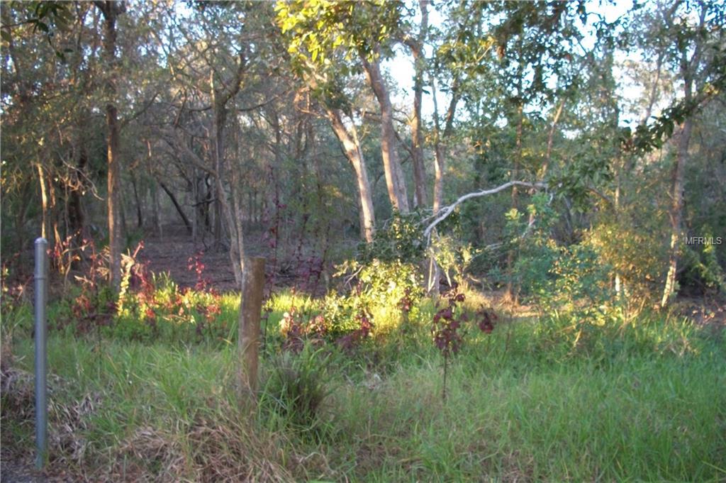 2839 NARCISSUS DRIVE, HOLIDAY, Florida 34691, 2 Bedrooms Bedrooms, 7 Rooms Rooms,1 BathroomBathrooms,Residential,For sale,NARCISSUS,U7844293