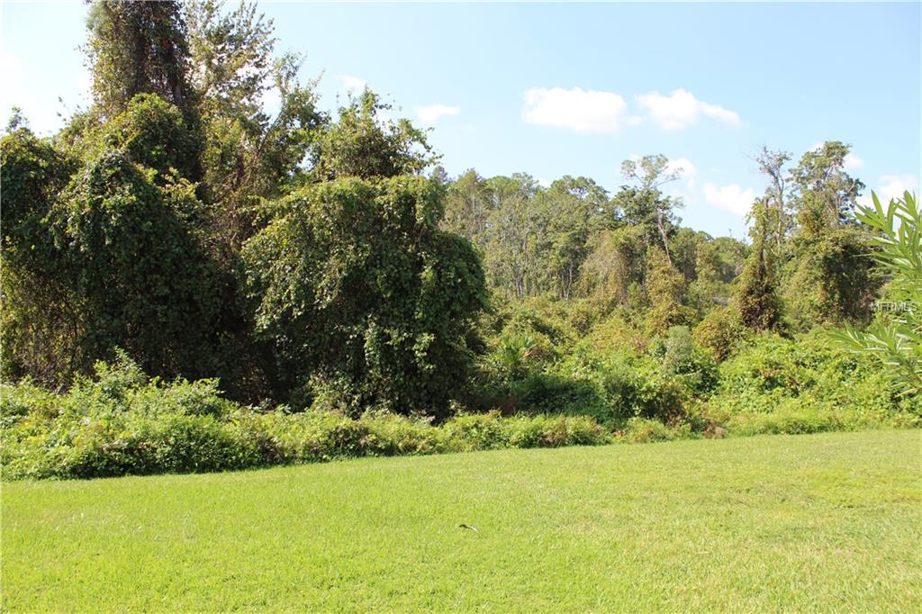 7821 STARFIRE WAY, NEW PORT RICHEY, Florida 34654, 3 Bedrooms Bedrooms, 5 Rooms Rooms,2 BathroomsBathrooms,Residential,For sale,STARFIRE,U7847633