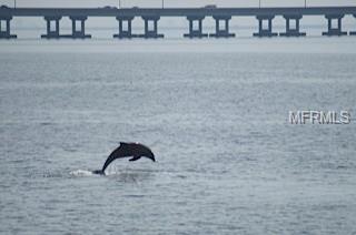 18675 US HIGHWAY 19 N, CLEARWATER, Florida 33764, 2 Bedrooms Bedrooms, 6 Rooms Rooms,2 BathroomsBathrooms,Residential,For sale,US HIGHWAY 19,U7845913