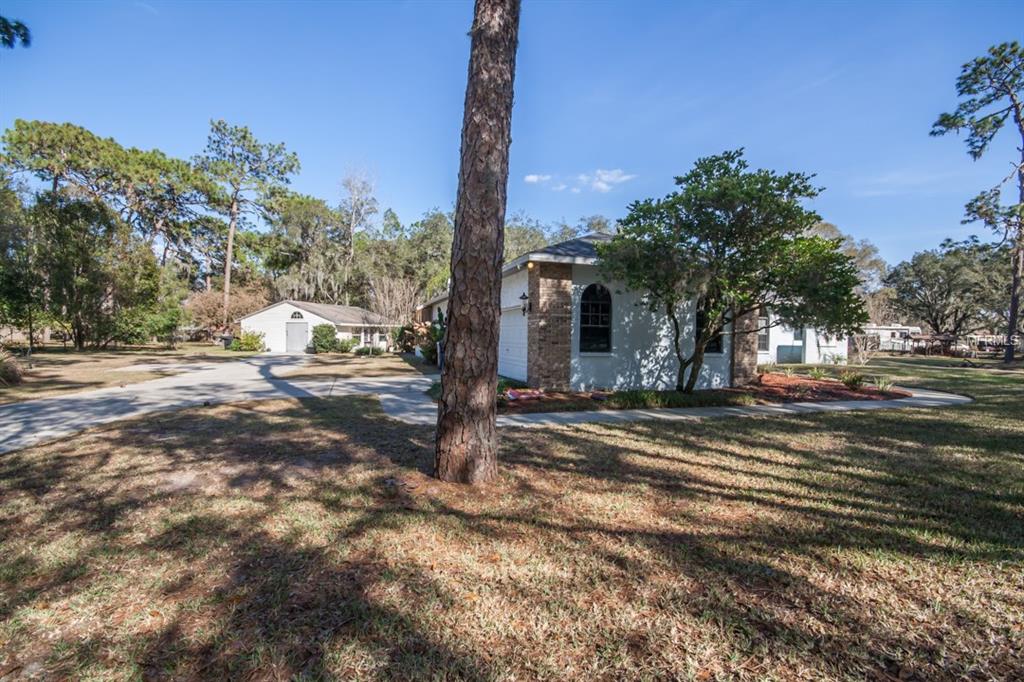 6090 WISTERIA LOOP, LAND O LAKES, Florida 34638, 4 Bedrooms Bedrooms, 10 Rooms Rooms,3 BathroomsBathrooms,Residential,For sale,WISTERIA,T2926353