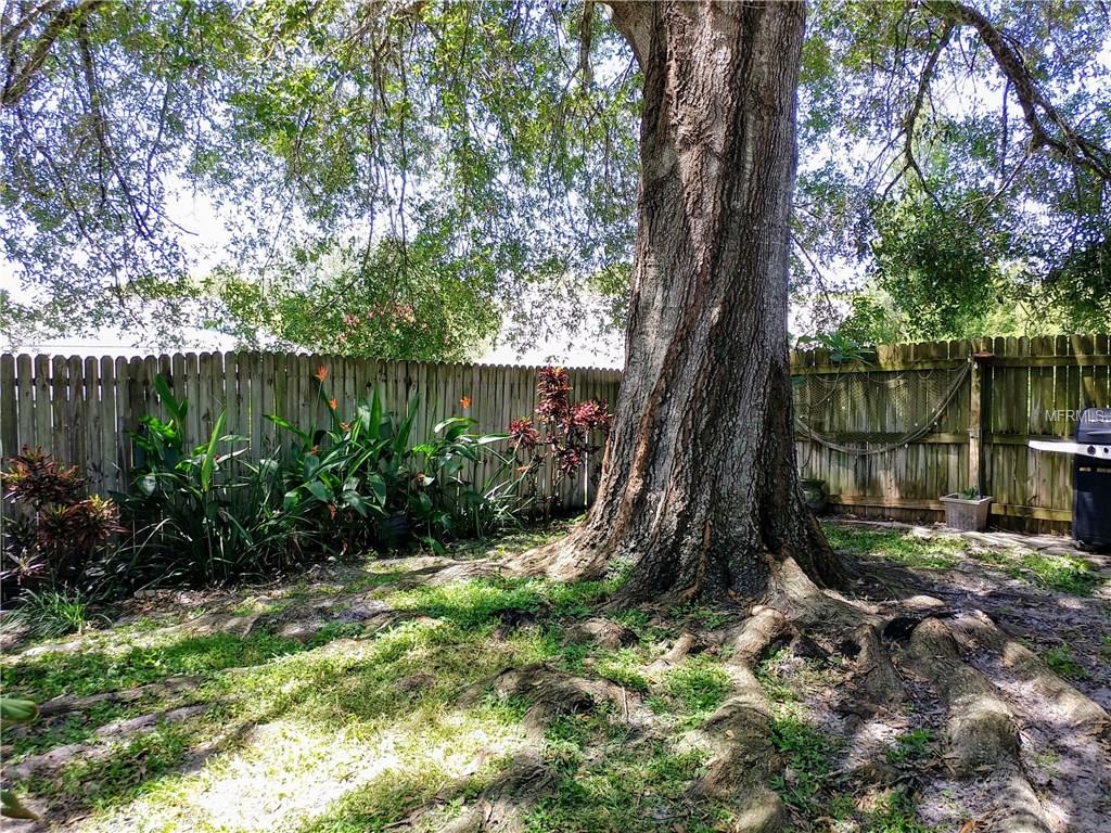 3174 PHLOX DRIVE, PALM HARBOR, Florida 34684, 2 Bedrooms Bedrooms, 5 Rooms Rooms,2 BathroomsBathrooms,Residential,For sale,PHLOX,U7830960