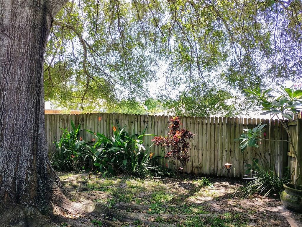 3174 PHLOX DRIVE, PALM HARBOR, Florida 34684, 2 Bedrooms Bedrooms, 5 Rooms Rooms,2 BathroomsBathrooms,Residential,For sale,PHLOX,U7830960