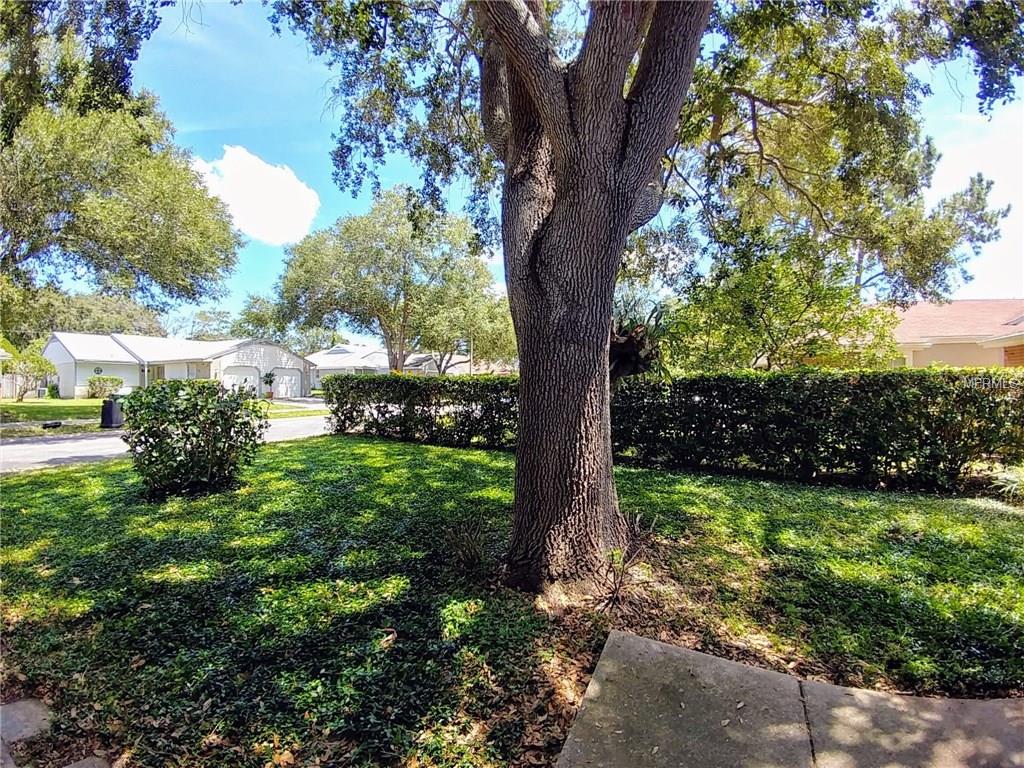 3174 PHLOX DRIVE, PALM HARBOR, Florida 34684, 2 Bedrooms Bedrooms, 5 Rooms Rooms,2 BathroomsBathrooms,Residential,For sale,PHLOX,U7830960