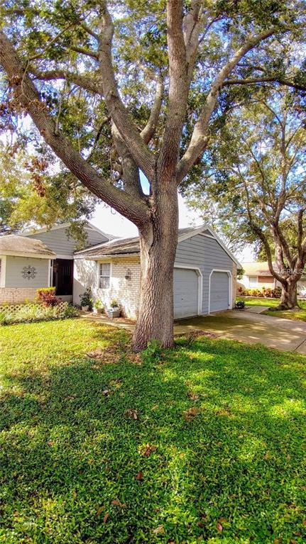 3174 PHLOX DRIVE, PALM HARBOR, Florida 34684, 2 Bedrooms Bedrooms, 5 Rooms Rooms,2 BathroomsBathrooms,Residential,For sale,PHLOX,U7830960