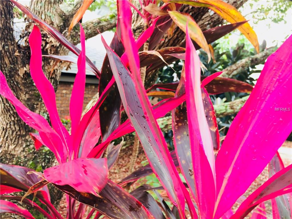 2604 WINDING RIDGE AVENUE S, KISSIMMEE, Florida 34741, 4 Bedrooms Bedrooms, 9 Rooms Rooms,3 BathroomsBathrooms,Residential,For sale,WINDING RIDGE,O5548867