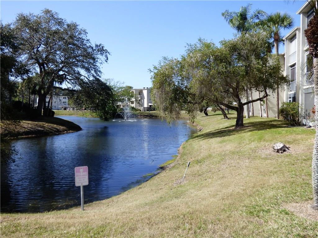 946 VIRGINIA STREET, DUNEDIN, Florida 34698, 2 Bedrooms Bedrooms, 6 Rooms Rooms,1 BathroomBathrooms,Residential,For sale,VIRGINIA,U7842902