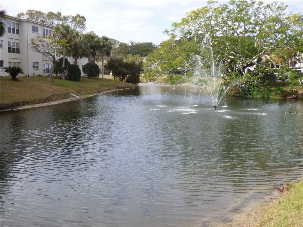 946 VIRGINIA STREET, DUNEDIN, Florida 34698, 2 Bedrooms Bedrooms, 6 Rooms Rooms,1 BathroomBathrooms,Residential,For sale,VIRGINIA,U7842902