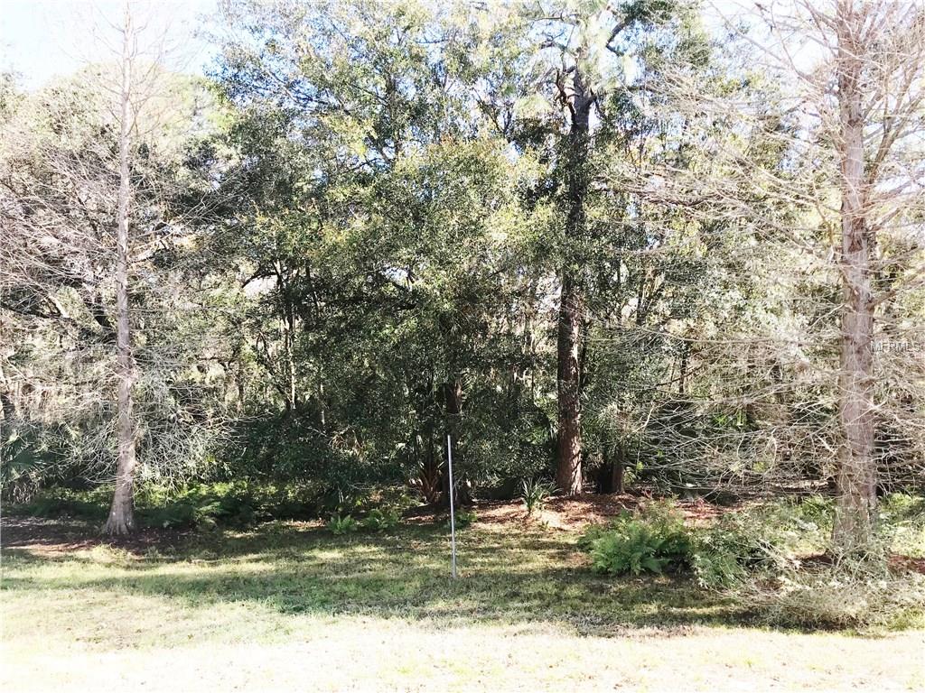 1983 OTTER WAY, PALM HARBOR, Florida 34685, 3 Bedrooms Bedrooms, 3 Rooms Rooms,2 BathroomsBathrooms,Residential,For sale,OTTER,U7843602