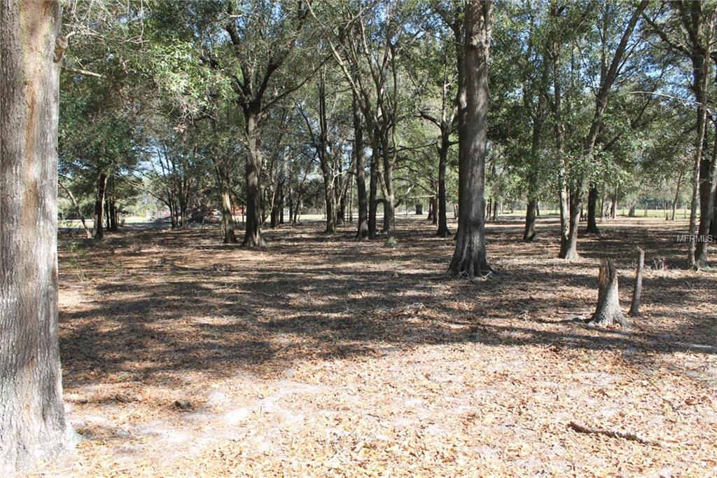 22850 WINTERWILLOW LANE, EUSTIS, Florida 32736, 3 Bedrooms Bedrooms, 3 Rooms Rooms,2 BathroomsBathrooms,Residential,For sale,WINTERWILLOW,G4851429