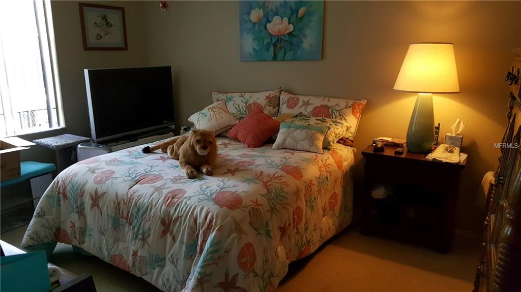 39650 US HIGHWAY 19 N, TARPON SPRINGS, Florida 34689, 3 Bedrooms Bedrooms, 3 Rooms Rooms,2 BathroomsBathrooms,Residential,For sale,US HIGHWAY 19,U7844306