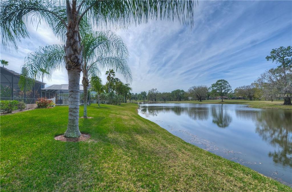 16462 TURNBURY OAK DRIVE, ODESSA, Florida 33556, 4 Bedrooms Bedrooms, 9 Rooms Rooms,3 BathroomsBathrooms,Residential,For sale,TURNBURY OAK,T2928258