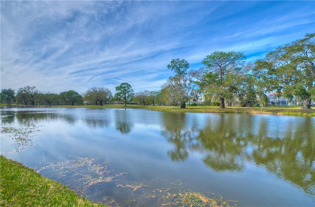 16462 TURNBURY OAK DRIVE, ODESSA, Florida 33556, 4 Bedrooms Bedrooms, 9 Rooms Rooms,3 BathroomsBathrooms,Residential,For sale,TURNBURY OAK,T2928258