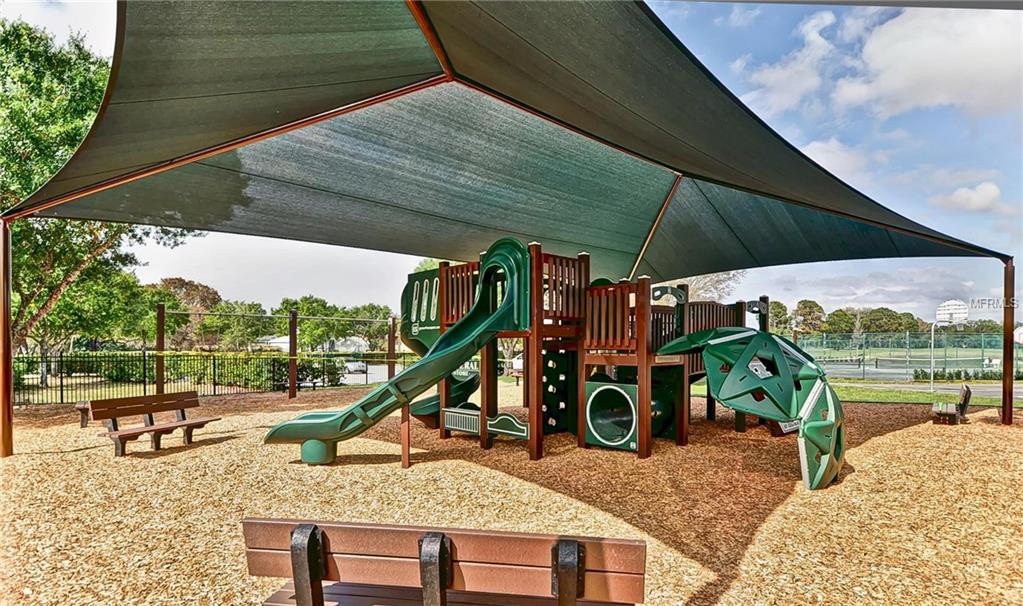 16462 TURNBURY OAK DRIVE, ODESSA, Florida 33556, 4 Bedrooms Bedrooms, 9 Rooms Rooms,3 BathroomsBathrooms,Residential,For sale,TURNBURY OAK,T2928258