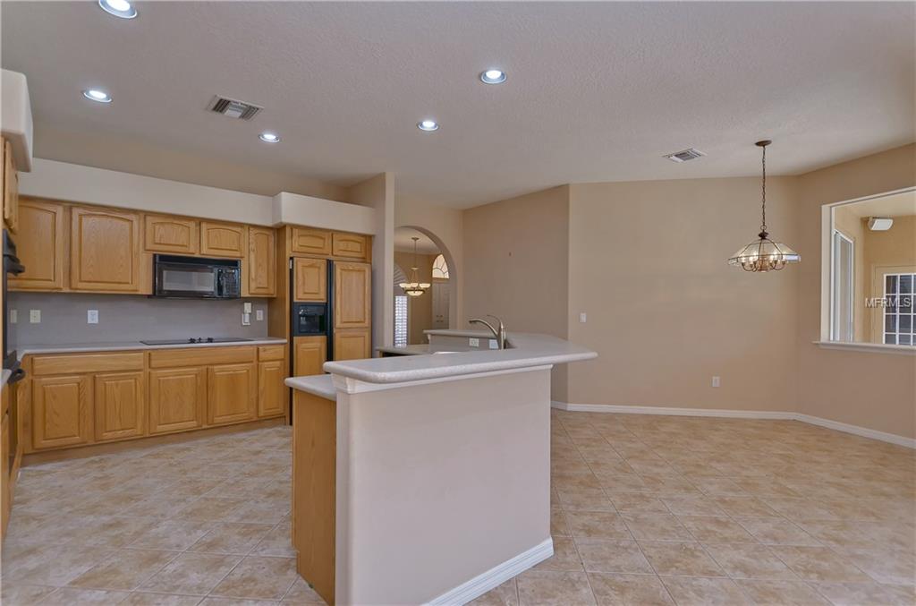 16462 TURNBURY OAK DRIVE, ODESSA, Florida 33556, 4 Bedrooms Bedrooms, 9 Rooms Rooms,3 BathroomsBathrooms,Residential,For sale,TURNBURY OAK,T2928258