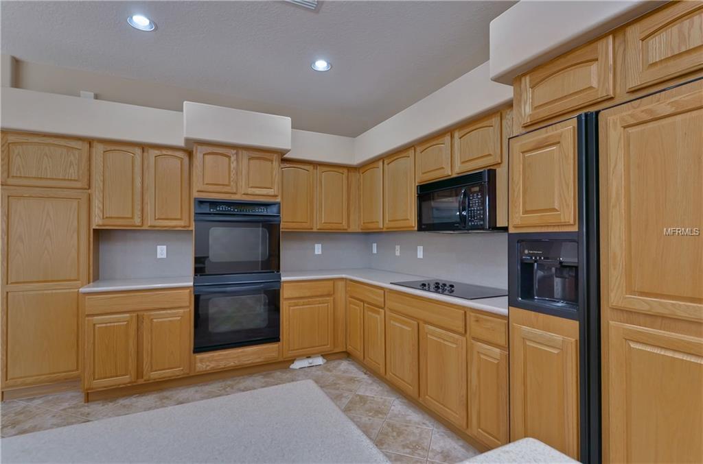 16462 TURNBURY OAK DRIVE, ODESSA, Florida 33556, 4 Bedrooms Bedrooms, 9 Rooms Rooms,3 BathroomsBathrooms,Residential,For sale,TURNBURY OAK,T2928258