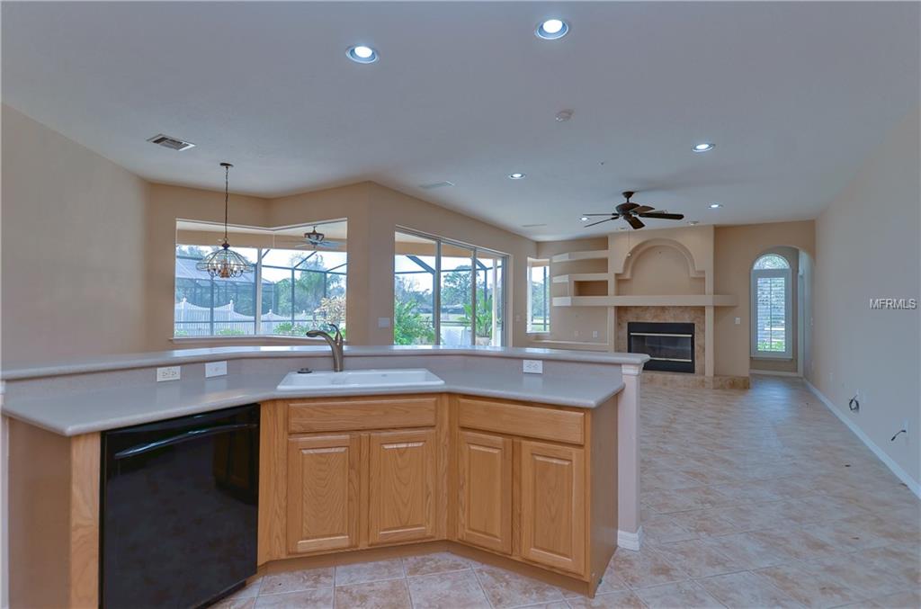 16462 TURNBURY OAK DRIVE, ODESSA, Florida 33556, 4 Bedrooms Bedrooms, 9 Rooms Rooms,3 BathroomsBathrooms,Residential,For sale,TURNBURY OAK,T2928258