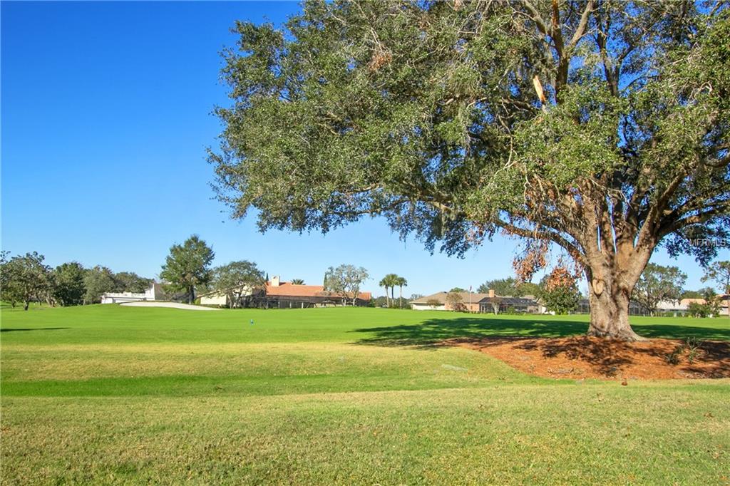 6204 DONEGAL DRIVE, ORLANDO, Florida 32819, 4 Bedrooms Bedrooms, 7 Rooms Rooms,4 BathroomsBathrooms,Residential,For sale,DONEGAL,O5561758