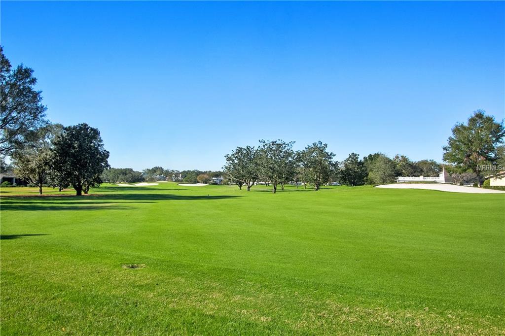 6204 DONEGAL DRIVE, ORLANDO, Florida 32819, 4 Bedrooms Bedrooms, 7 Rooms Rooms,4 BathroomsBathrooms,Residential,For sale,DONEGAL,O5561758