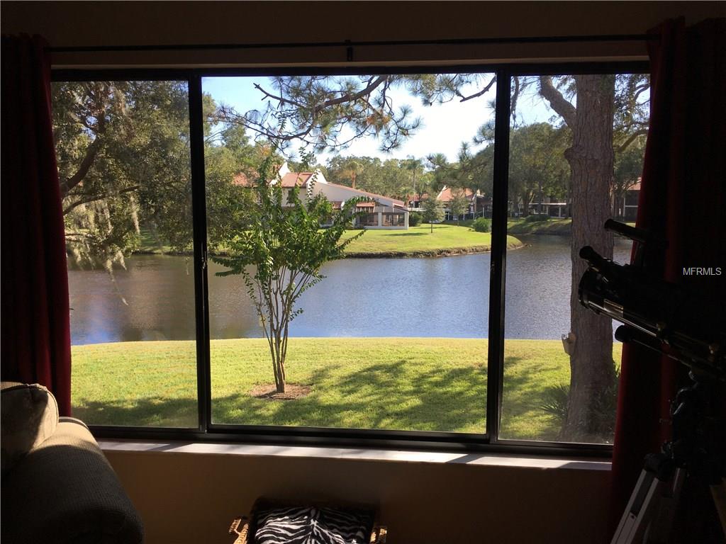 3505 TARPON WOODS BOULEVARD, PALM HARBOR, Florida 34685, 2 Bedrooms Bedrooms, 4 Rooms Rooms,2 BathroomsBathrooms,Residential,For sale,TARPON WOODS,W7635238