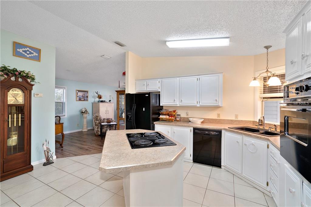 603 SANTIAGO COURT, LADY LAKE, Florida 32159, 2 Bedrooms Bedrooms, 5 Rooms Rooms,2 BathroomsBathrooms,Residential,For sale,SANTIAGO,G4852783