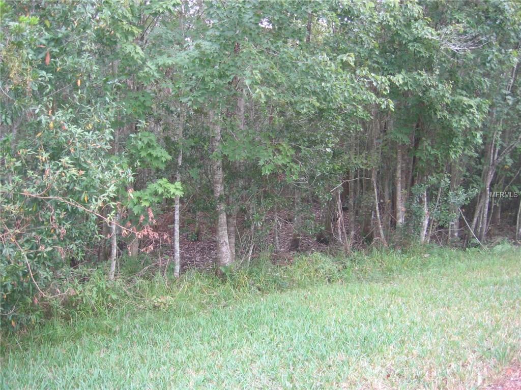 5418 BOLD VENTURE PLACE, WESLEY CHAPEL, Florida 33544, 4 Bedrooms Bedrooms, 9 Rooms Rooms,2 BathroomsBathrooms,Residential,For sale,BOLD VENTURE,T2917404